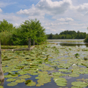 Fotobehang Loosdrecht II 4624 Holland