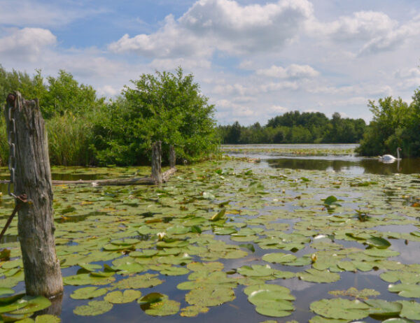 Fotobehang Loosdrecht II 4624 Holland