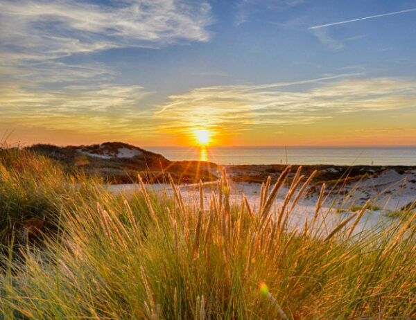 Fotobehang Schevingen Zonsondergang 8305 Holland