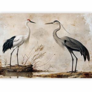 Fotobehang - Birds from an old engraving - vintage-style illustration depicting a heron and a crane