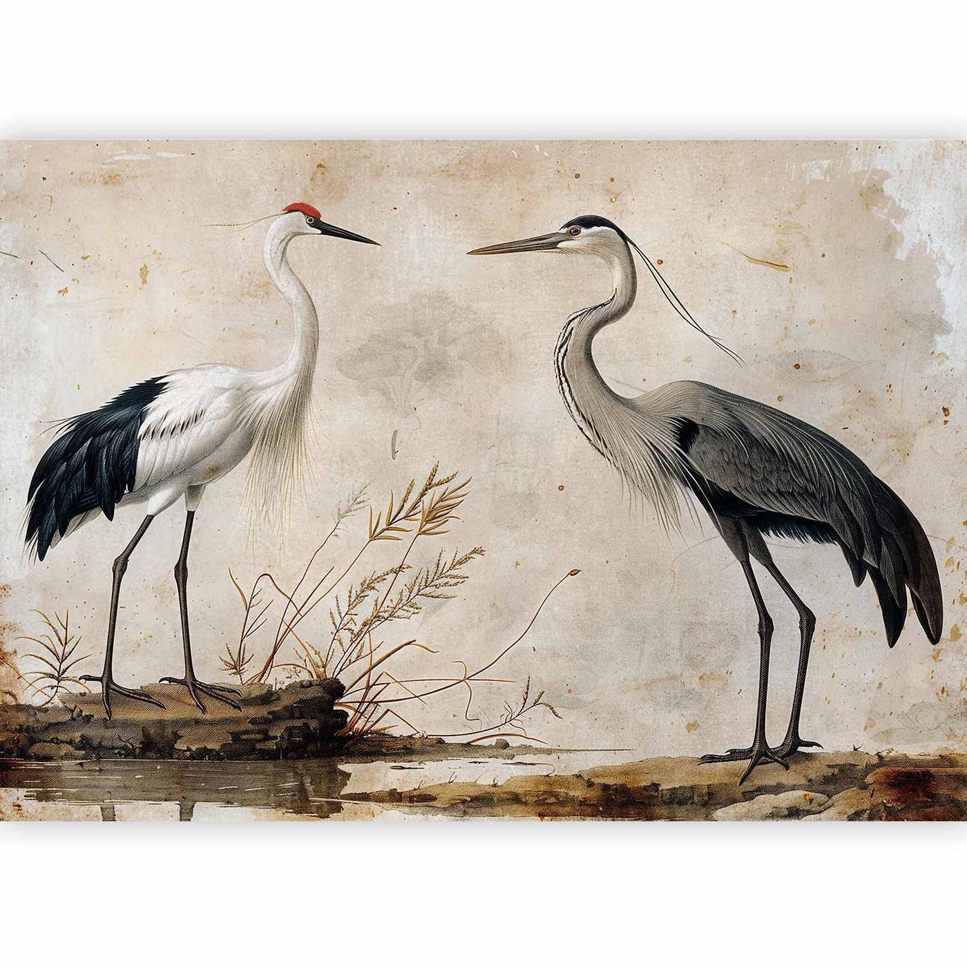 Fotobehang - Birds from an old engraving - vintage-style illustration depicting a heron and a crane