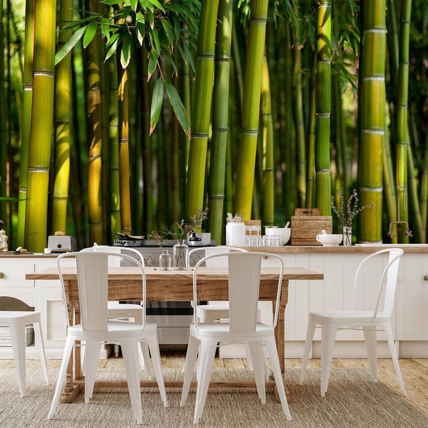 Fotobehang - Eucalyptus alley – bamboo grove in juicy green tone