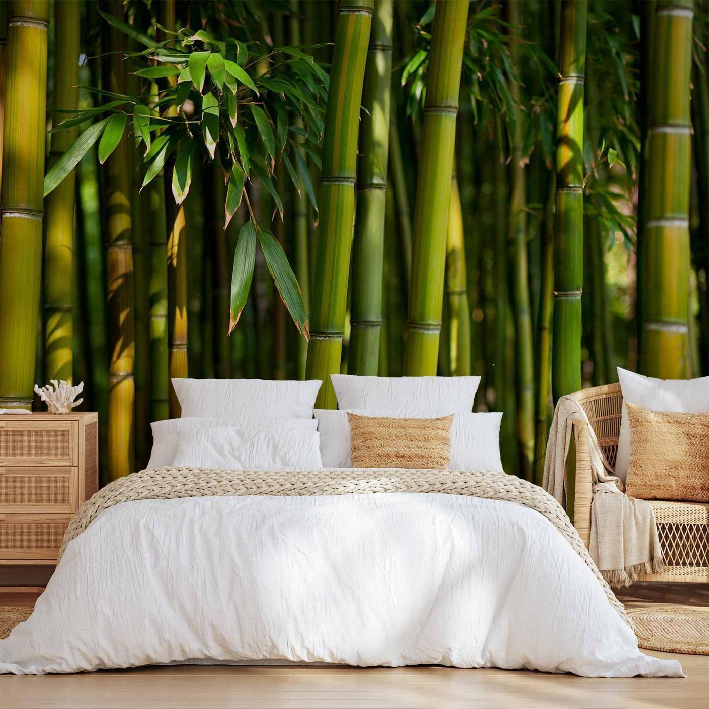 Fotobehang - Eucalyptus alley – bamboo grove in juicy green tone