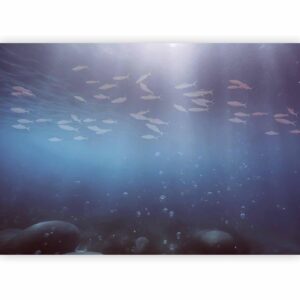 Fotobehang - Fish in the depths