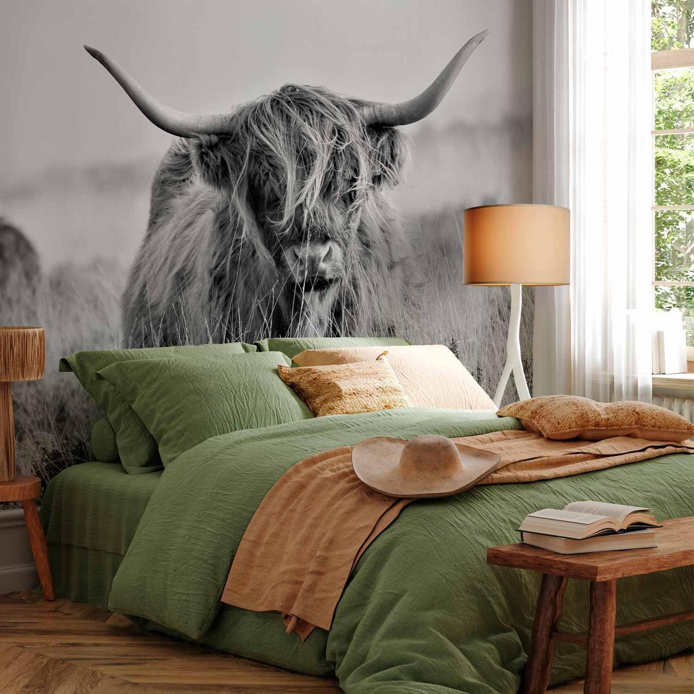 Fotobehang - Highland Cattle