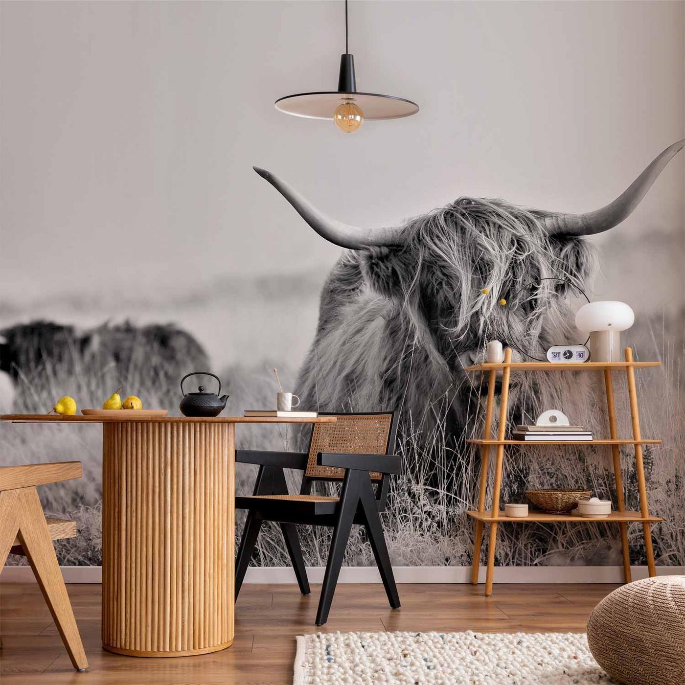 Fotobehang - Highland Cattle