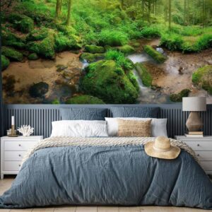 Fotobehang - Humid Forest