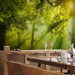 Fotobehang - In a Secret Forest