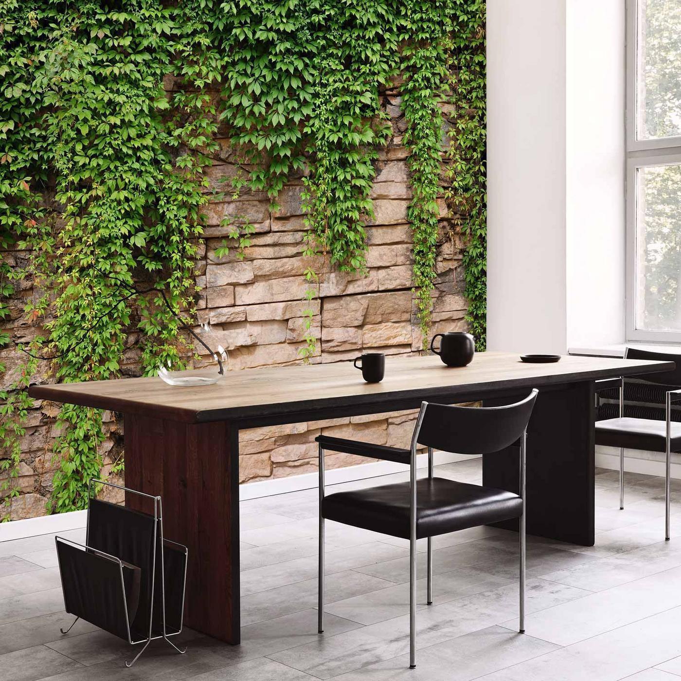 Fotobehang - Ivy wall