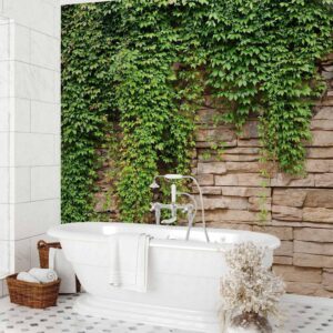 Fotobehang - Ivy wall
