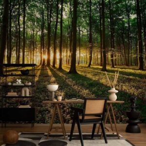 Fotobehang - Mystical Morning