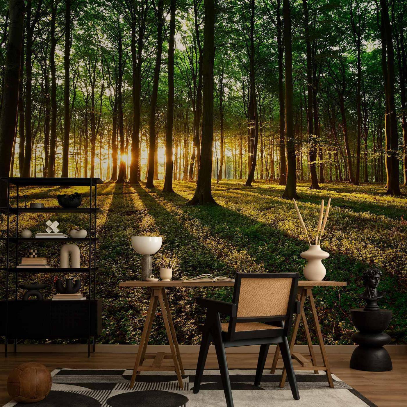 Fotobehang - Mystical Morning