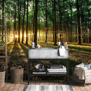 Fotobehang - Mystical Morning