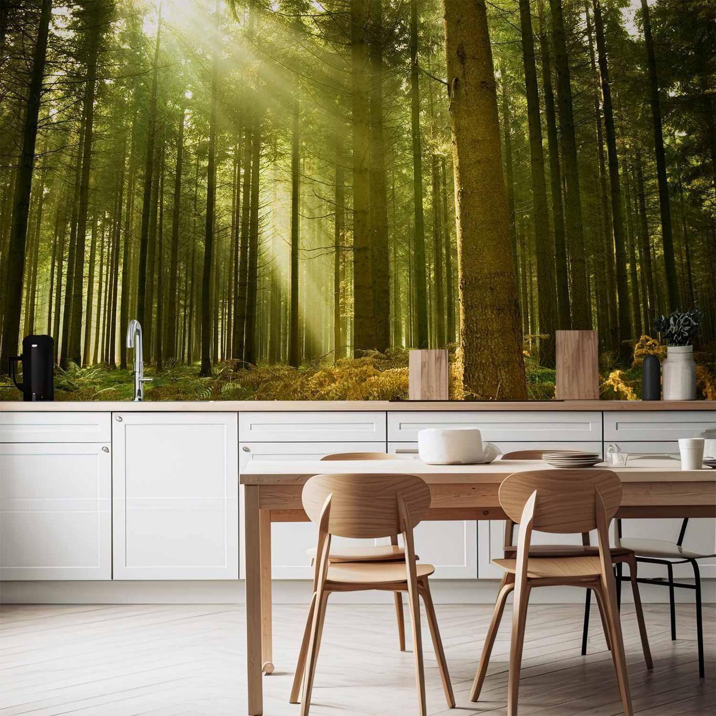 Fotobehang - Pine forest – dense woodland in morning sunlight