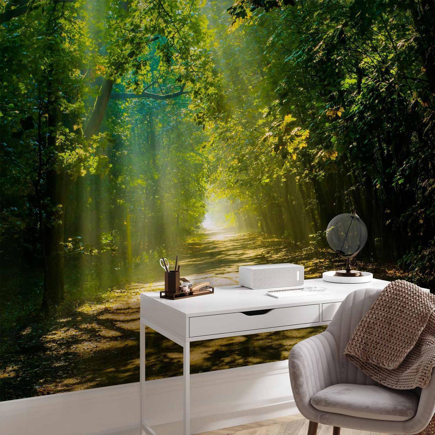 Fotobehang - Road in Sunlight