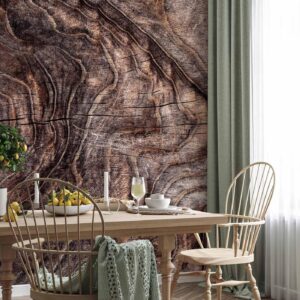 Fotobehang - Signs of the times - an abstract background with the wrinkled bark of an old tree