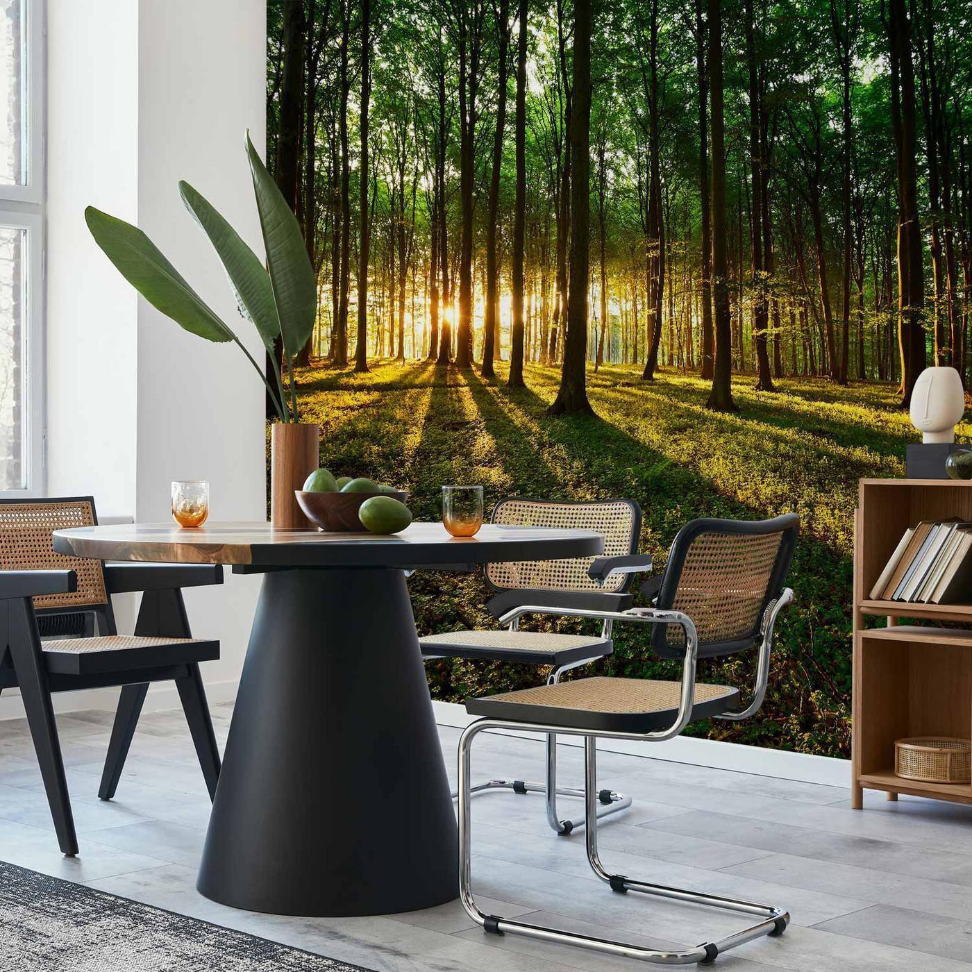 Fotobehang - Spring: Morning in the Forest