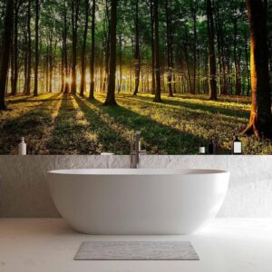 Fotobehang - Spring: Morning in the Forest