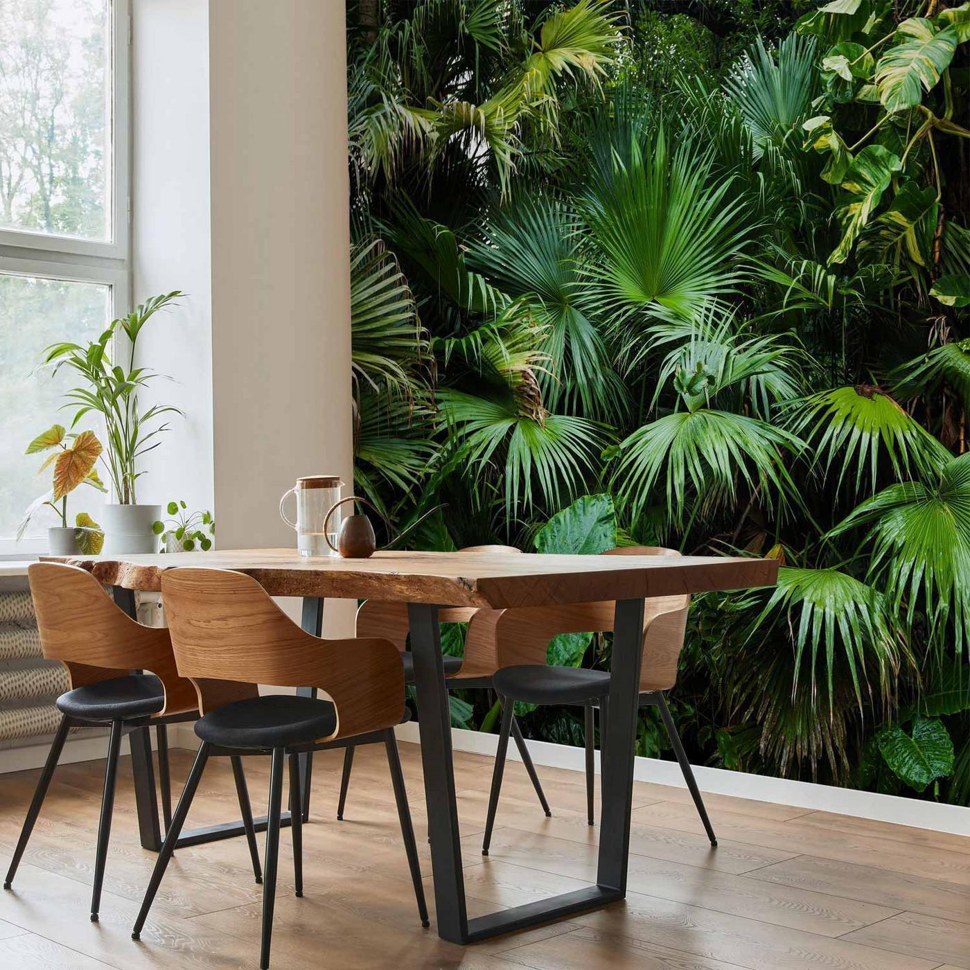 Fotobehang - Sunny Jungle