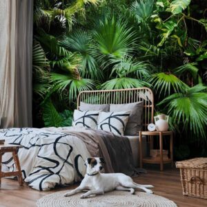 Fotobehang - Sunny Jungle