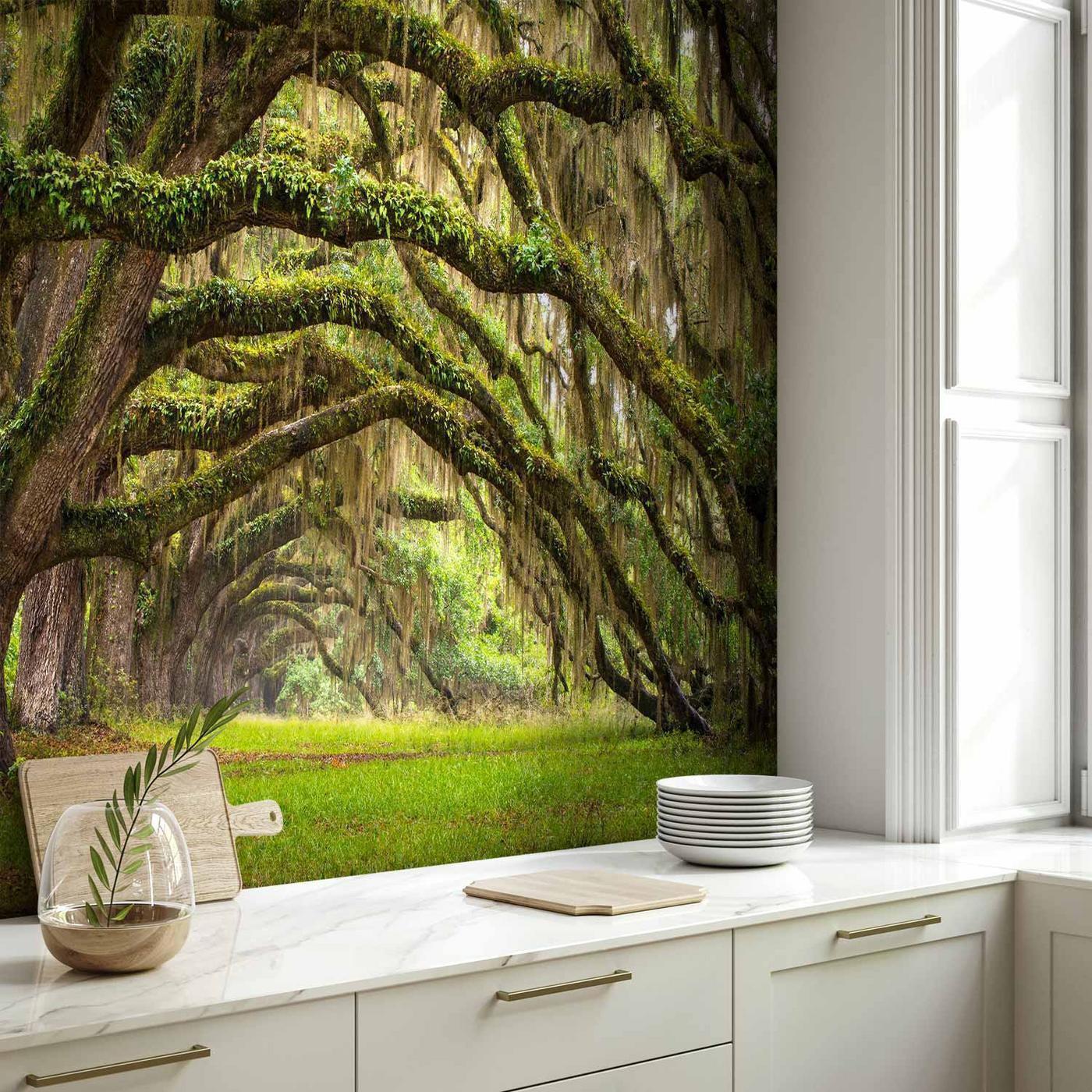 Fotobehang - Tree embrace