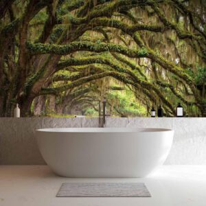 Fotobehang - Tree embrace