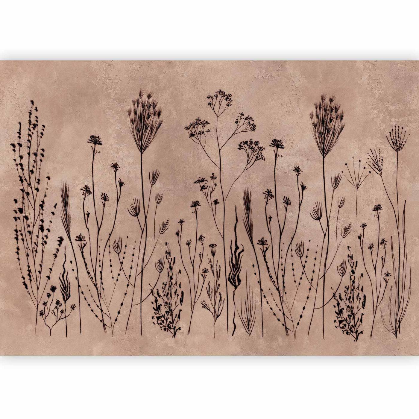 Fotobehang - Wildflowers – black plants on lime-wash background